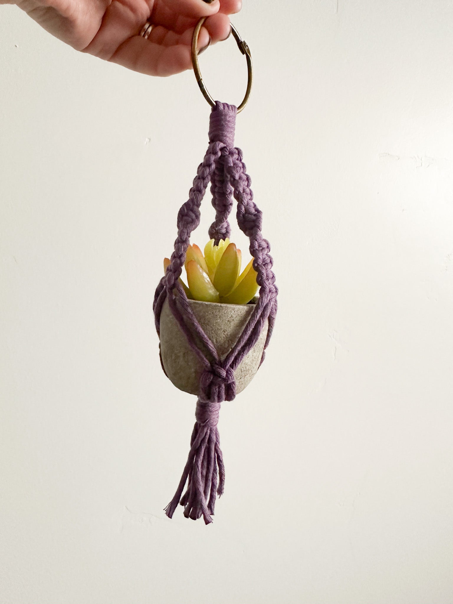 Mini Macrame Plant Hanger with Faux Succulent