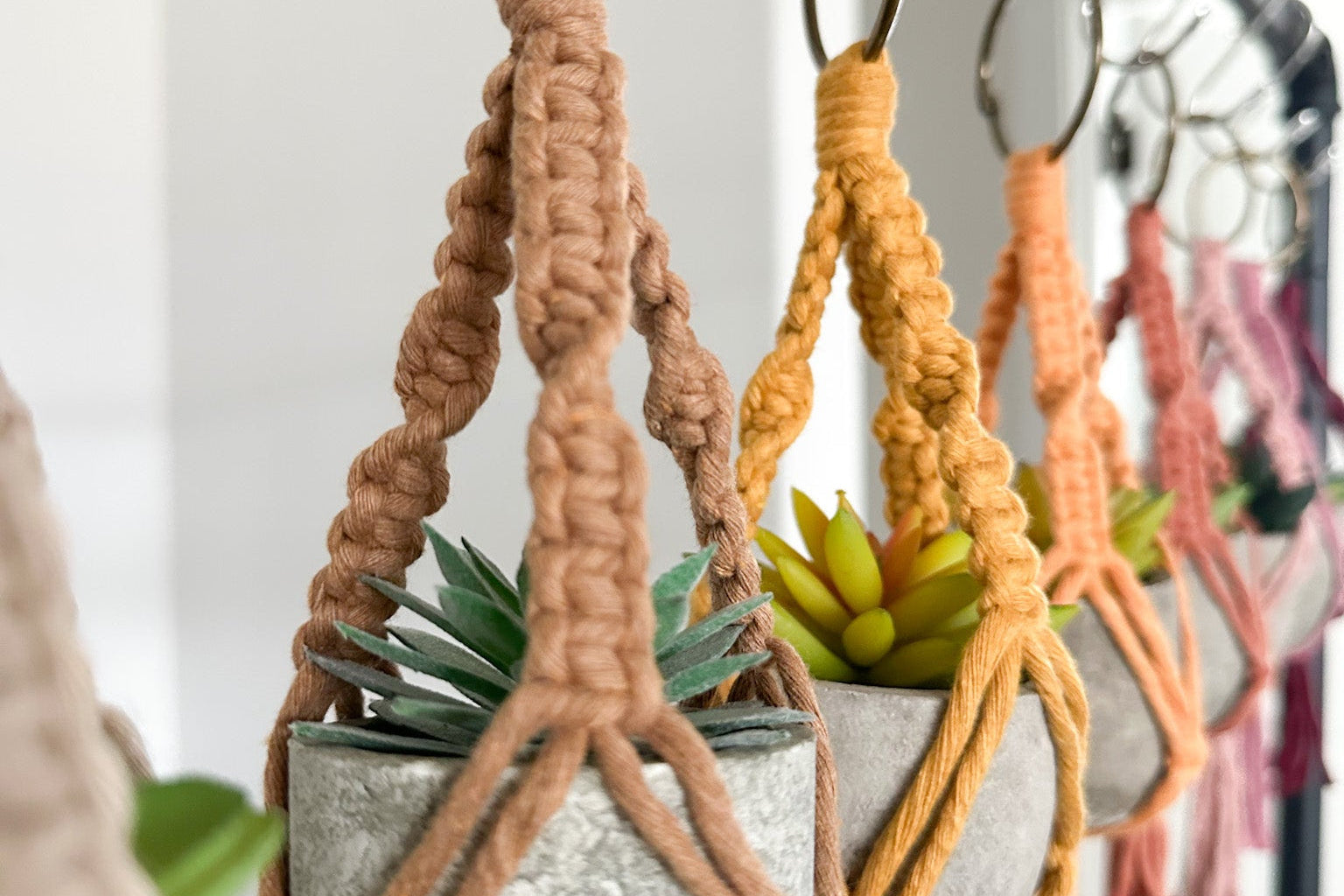 Macrame plant hangers with pots on a rack against a white wall